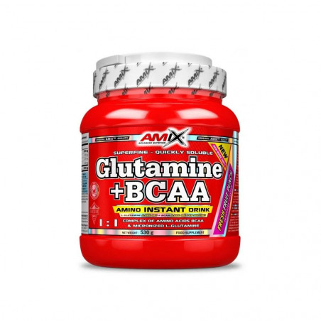 GLUTAMINE + BCAA 530GR